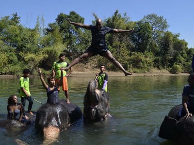 Man jumping on elephant