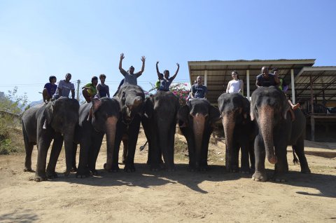 group riding elephants