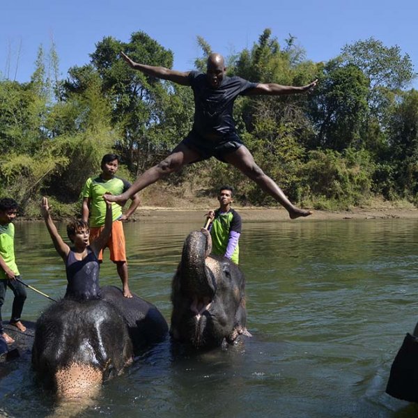 Man jumping on elephant