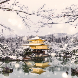 temple in japan