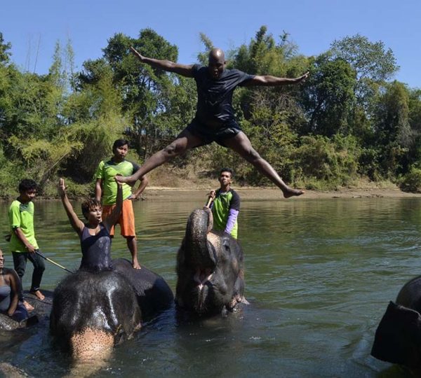 Elephant Jumping