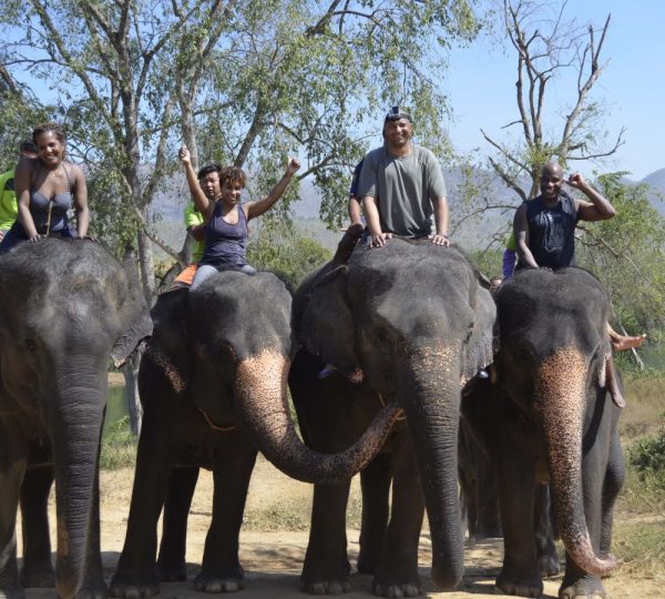 Elephant Riding